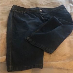 Size 24 Capri Jeans